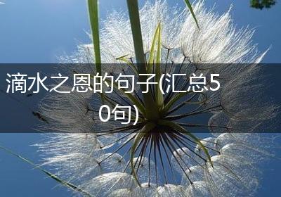 滴水之恩的句子(汇总50句)