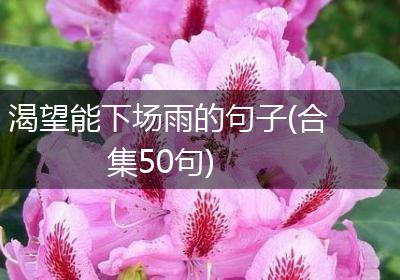渴望能下场雨的句子(合集50句)