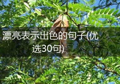 漂亮表示出色的句子(优选30句)