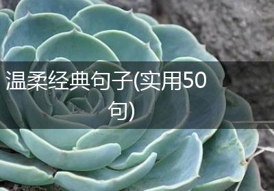 温柔经典句子(实用50句)