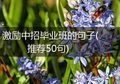 激励中招毕业班的句子(推荐50句)