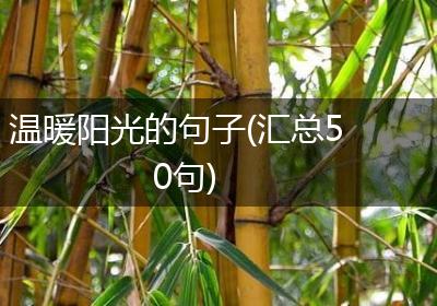 温暖阳光的句子(汇总50句)