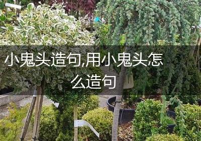 小鬼头造句,用小鬼头怎么造句
