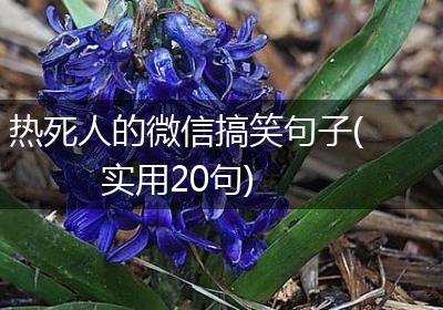 热死人的微信搞笑句子(实用20句)