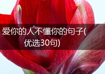 爱你的人不懂你的句子(优选30句)