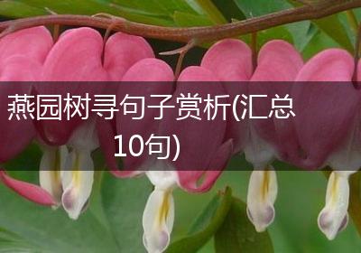燕园树寻句子赏析(汇总10句)