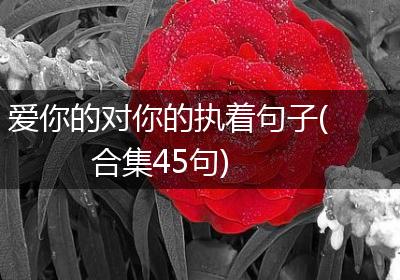 爱你的对你的执着句子(合集45句)