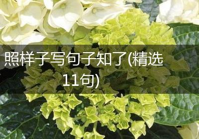 照样子写句子知了(精选11句)