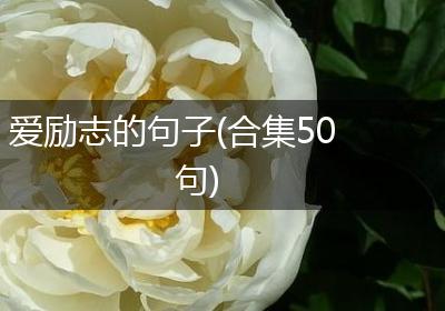 爱励志的句子(合集50句)