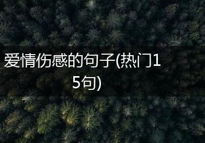 爱情伤感的句子(热门15句)