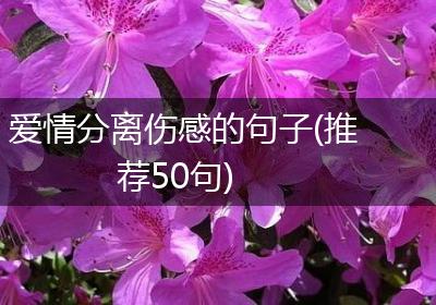 爱情分离伤感的句子(推荐50句)