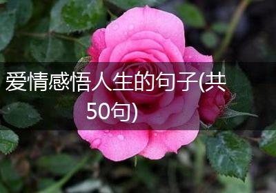 爱情感悟人生的句子(共50句)