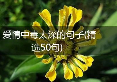 爱情中毒太深的句子(精选50句)