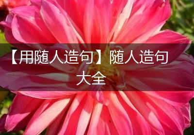 【用随人造句】随人造句大全