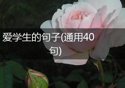 爱学生的句子(通用40句)