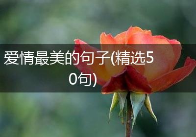 爱情最美的句子(精选50句)