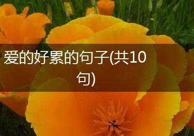 爱的好累的句子(共10句)