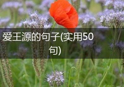 爱王源的句子(实用50句)