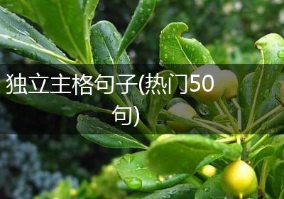 独立主格句子(热门50句)