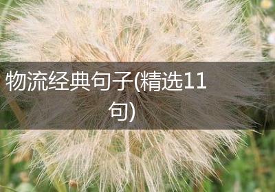 物流经典句子(精选11句)