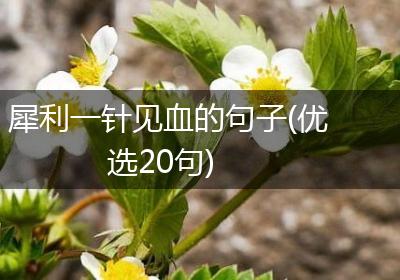 犀利一针见血的句子(优选20句)