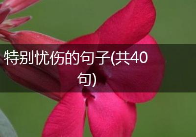 特别忧伤的句子(共40句)