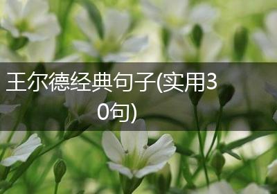 王尔德经典句子(实用30句)