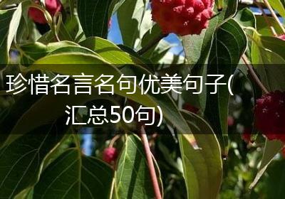 珍惜名言名句优美句子(汇总50句)