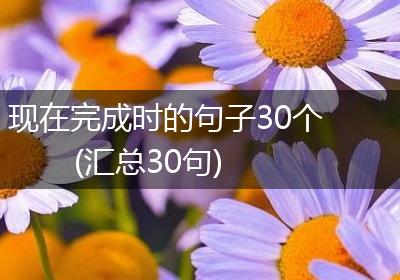 现在完成时的句子30个(汇总30句)