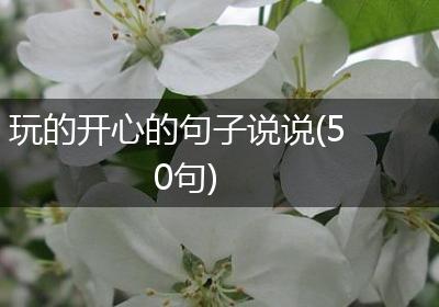 玩的开心的句子说说(50句)