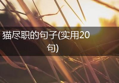 猫尽职的句子(实用20句)