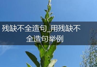 残缺不全造句_用残缺不全造句举例