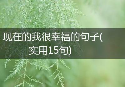 现在的我很幸福的句子(实用15句)