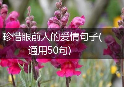 珍惜眼前人的爱情句子(通用50句)