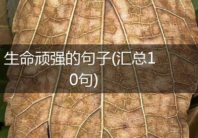 生命顽强的句子(汇总10句)