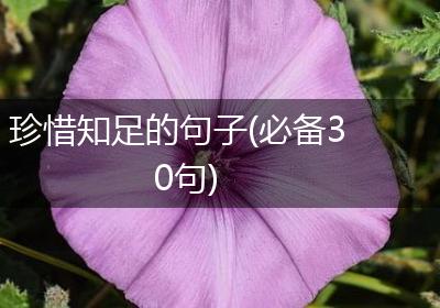珍惜知足的句子(必备30句)