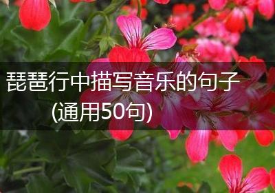 琵琶行中描写音乐的句子(通用50句)