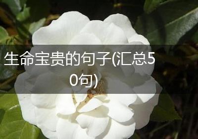 生命宝贵的句子(汇总50句)