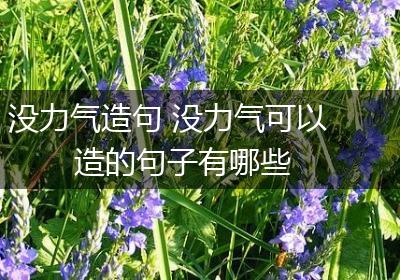 没力气造句 没力气可以造的句子有哪些