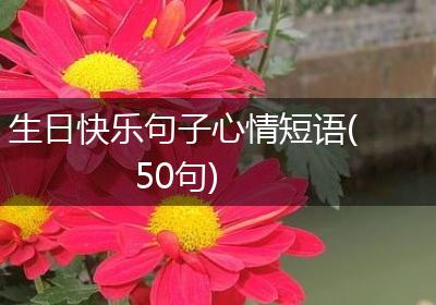 生日快乐句子心情短语(50句)