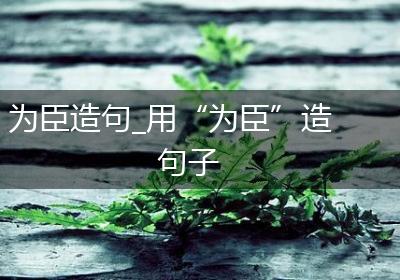 为臣造句_用“为臣”造句子