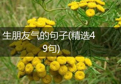 生朋友气的句子(精选49句)