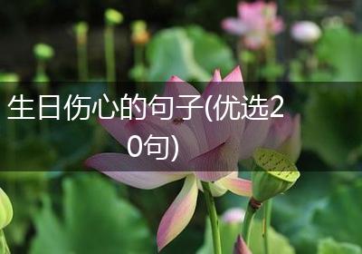 生日伤心的句子(优选20句)