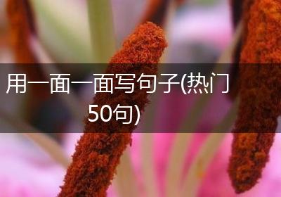 用一面一面写句子(热门50句)