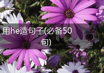 用he造句子(必备50句)