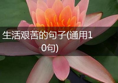 生活艰苦的句子(通用10句)