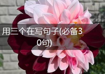 用三个在写句子(必备30句)