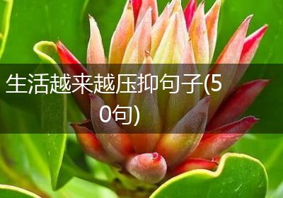 生活越来越压抑句子(50句)