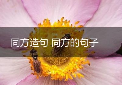 同方造句 同方的句子