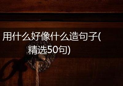 用什么好像什么造句子(精选50句)
